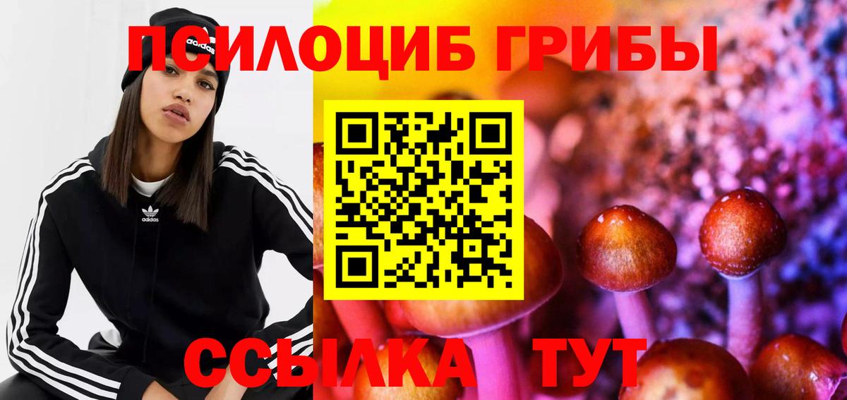 Боровичи  Псилоцибиновые грибы Psilocybine cubensis  Вход с VPN 